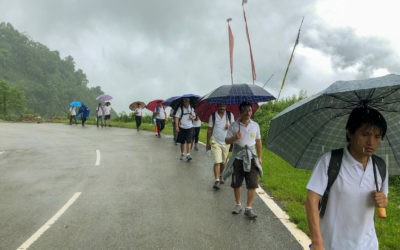 A ‘Mindfulness Walk’