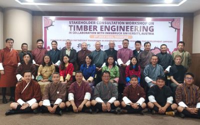 Consultation Meeting on Timber Engineering